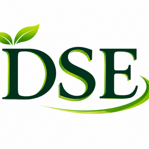 DS Energie & Consulting Logo